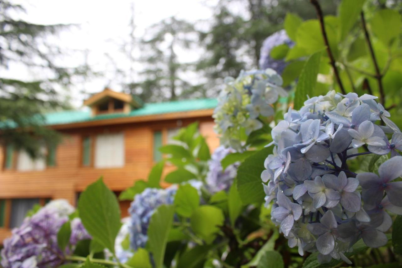 Mary'S Cottages 마날리 외부 사진